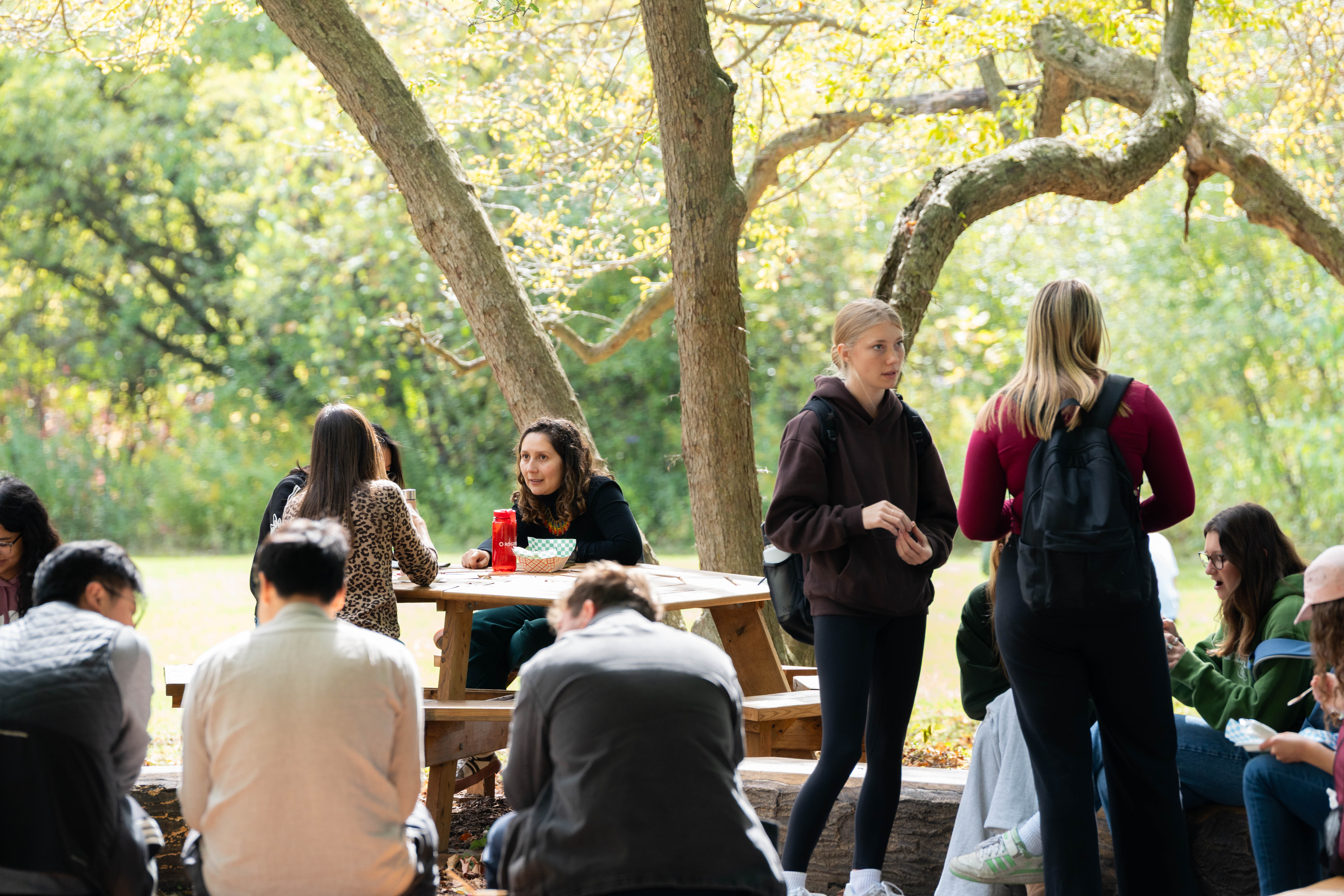 People eating and conversing on the EV3 Green.
