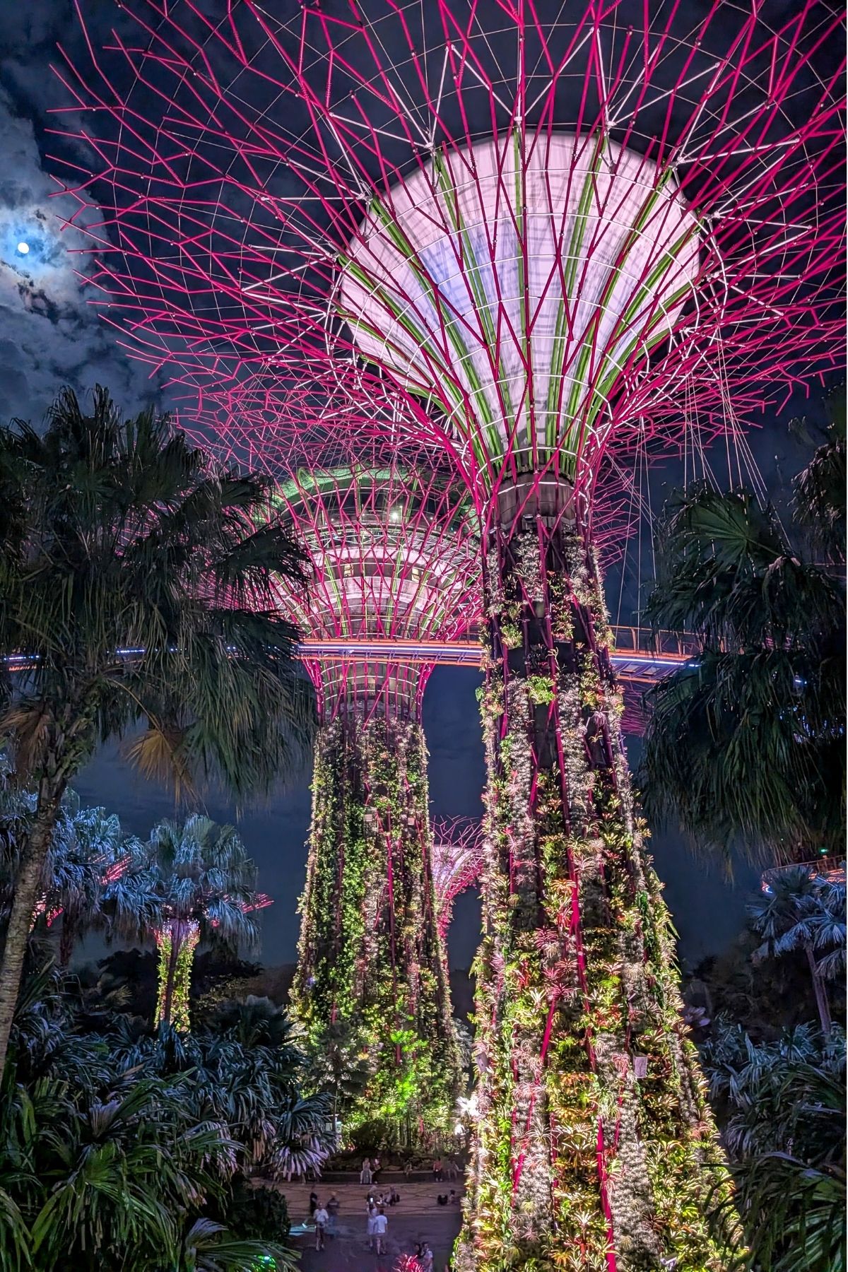 Super-trees at Gardens by the Bay in Singapore, with a full moon peaking through a gap in the night sky.