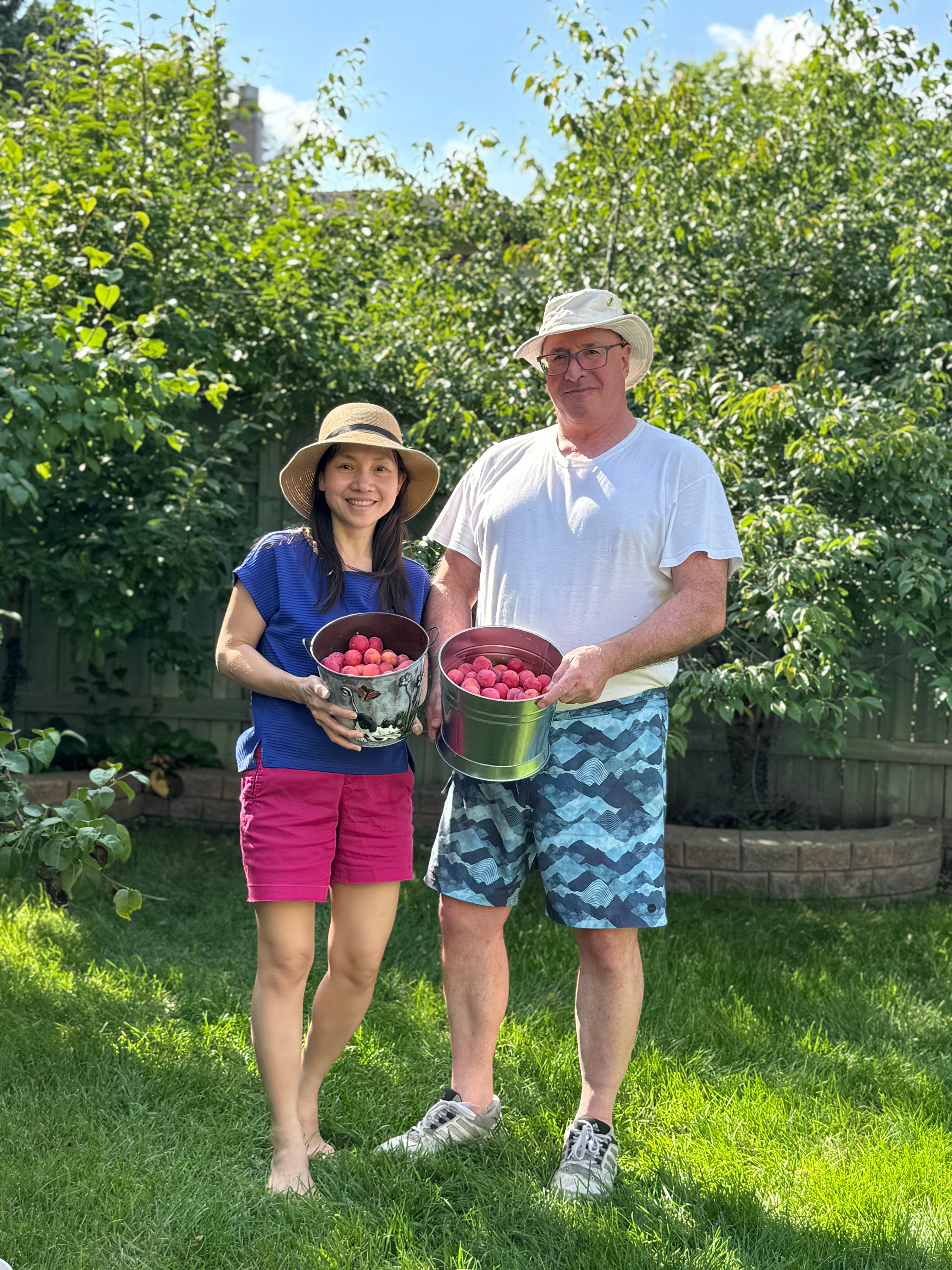 Man and woman holding buckets of plums