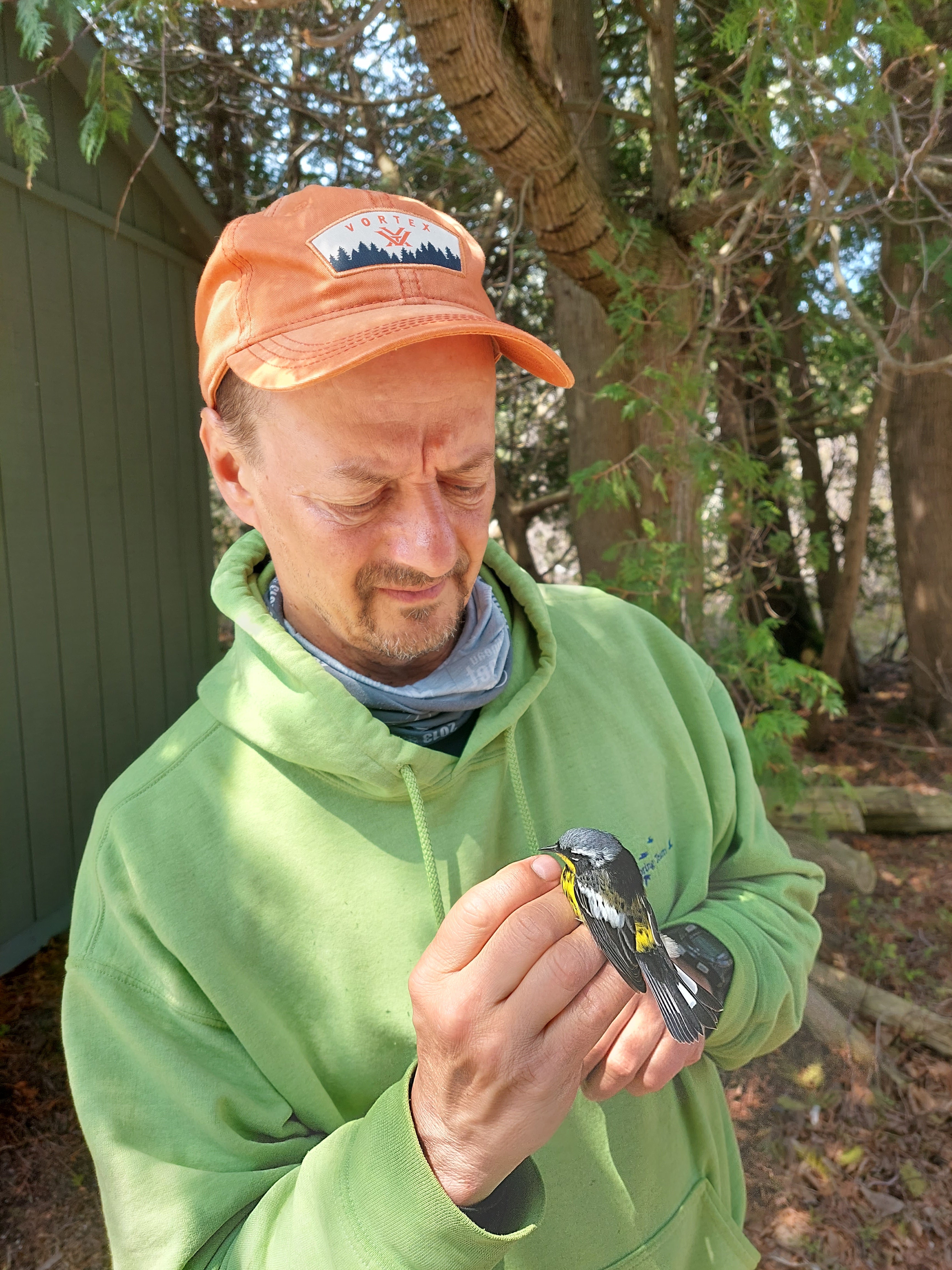 Man with orange cap and green hooty holds a bird. 