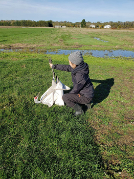 Lee with tagged crane
