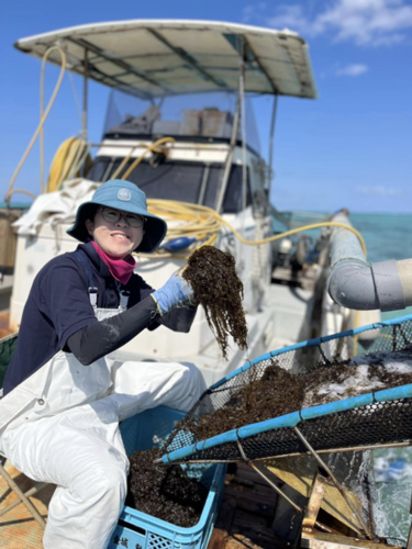A woman with a hat and gloves is holding a bucket of seaweed, positioned near the water's edge.