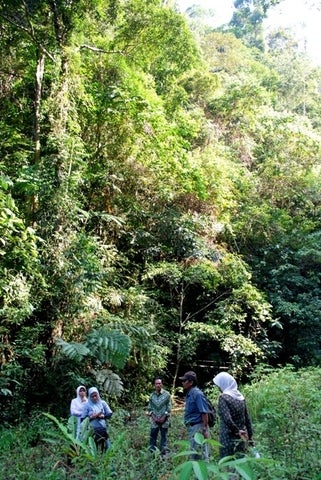 Locals in the rainforest.