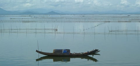 A fishing boat on the lagoon.