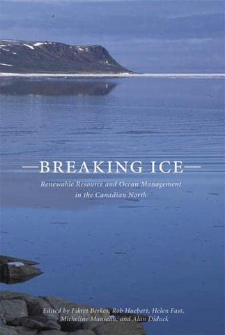 Breaking Ice book cover