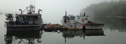 Three fishing boats docked on a platform in a foggy morning.