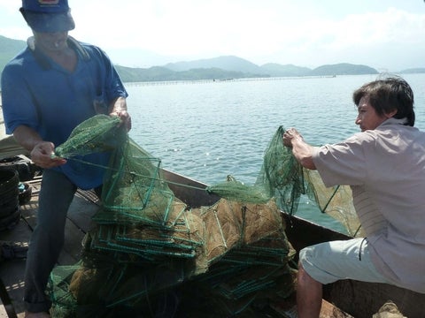 Two people setting up the net.
