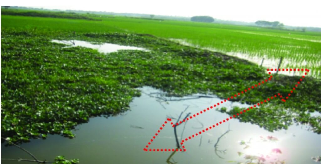 Floodplain and ditches with an arrow pointing at each other.