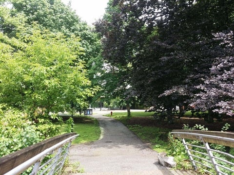 Bridge opening into wooded area