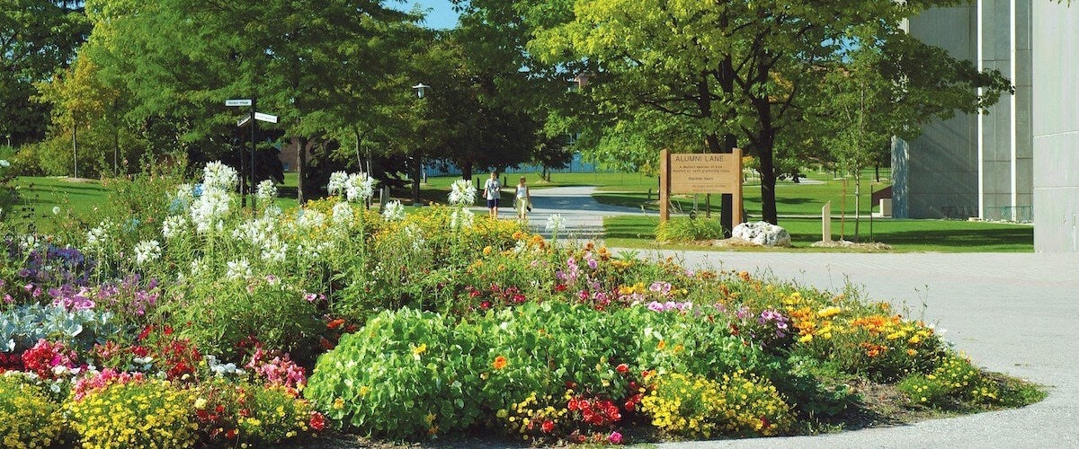 Alumni garden