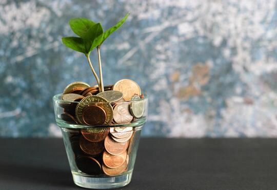 a plant pot with money in it