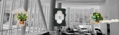 Minimal collage of plants and menstrual hygiene products against a black and white background.