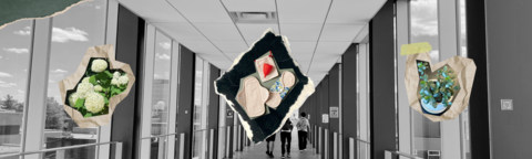 Minimal collage of plants and menstrual hygiene products against a black and white background.