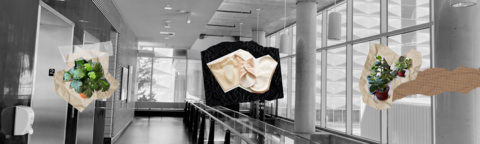 Minimal collage of plants and menstrual hygiene products against a black and white background.