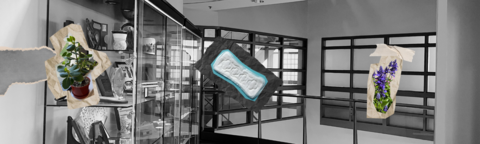 Minimal collage of plants and menstrual hygiene products against a black and white background.