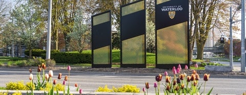 University of Waterloo signage in the springtime with blooming tulips