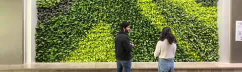students standing infront of a green wall