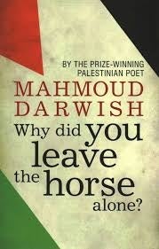 Book jacket of Why did you leave the horse alone?