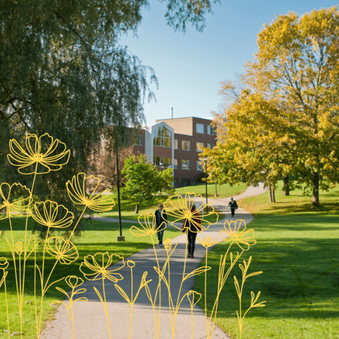 Waterloo campus in the summer