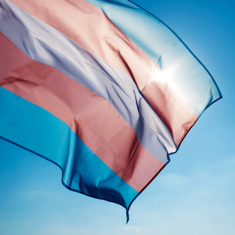 The Trans pride flag flying in the sunshine