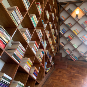 Library shelving in the Sankara Library