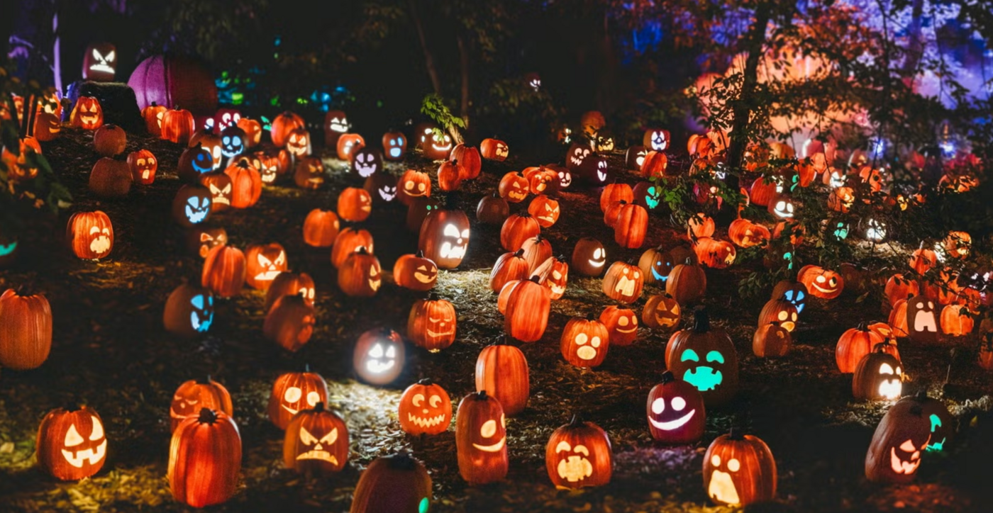 haunted pumpkin patch