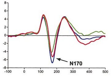ERP waveform showing N170