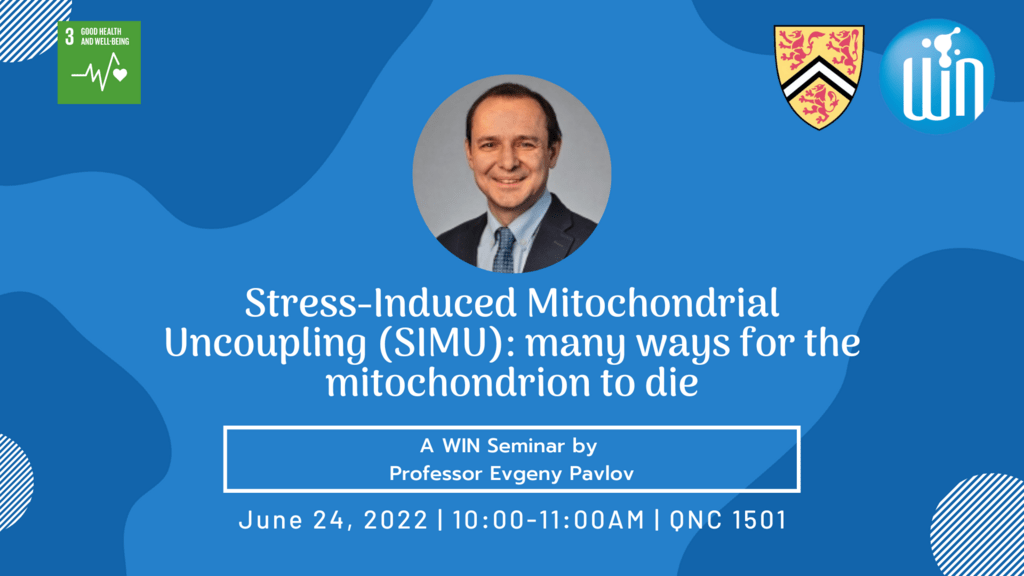 WIN Seminar Series: Professor Evgeny Pavlov