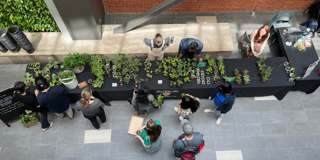People looking at and trading seedlings
