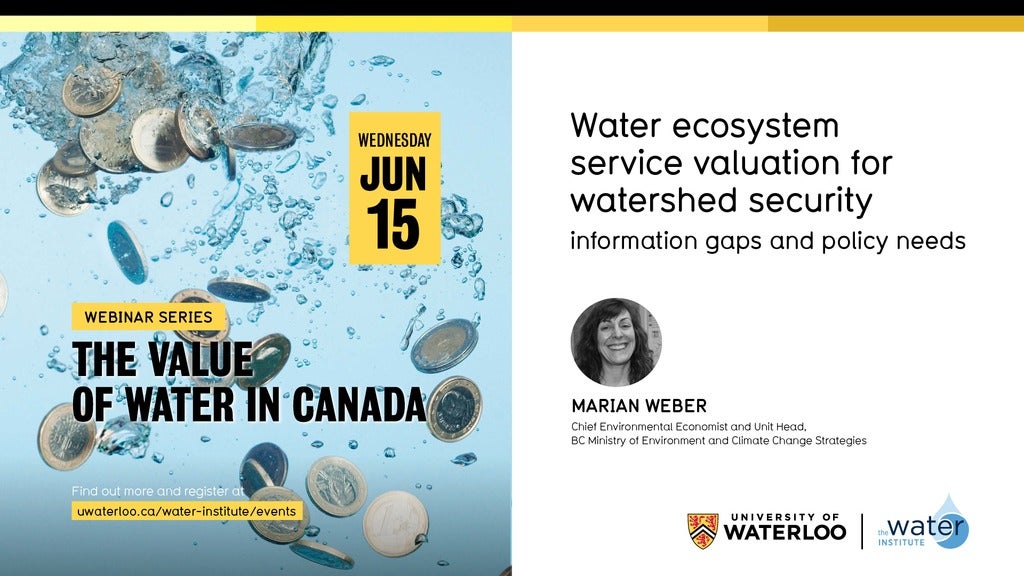 Marian Weber at The Water Institute