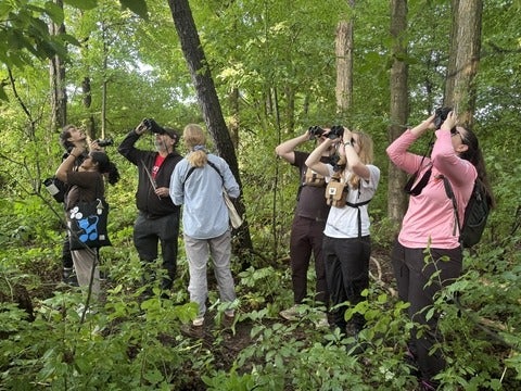 bird watching