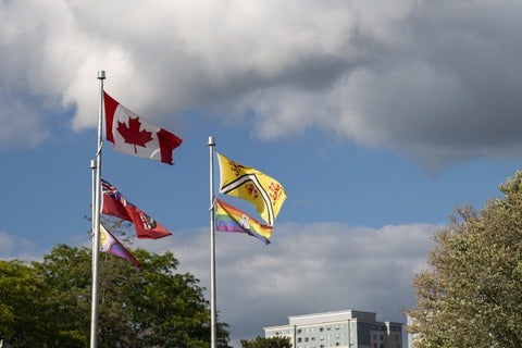 University of Waterloo pride flag