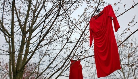 Red dresses hanging from a tree.