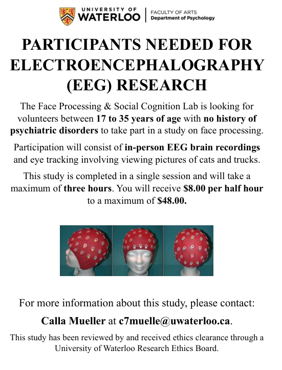 Poster for research on visual perception of cats and trucks