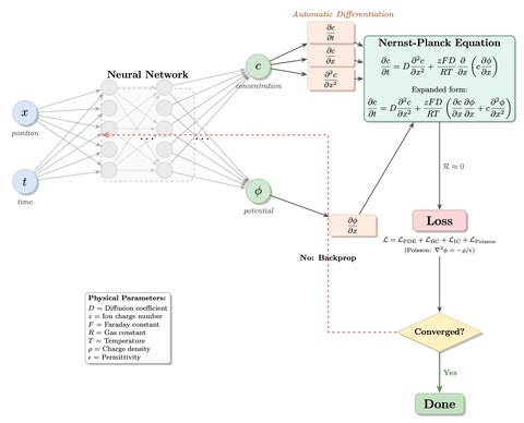 nernst planck equation PINN