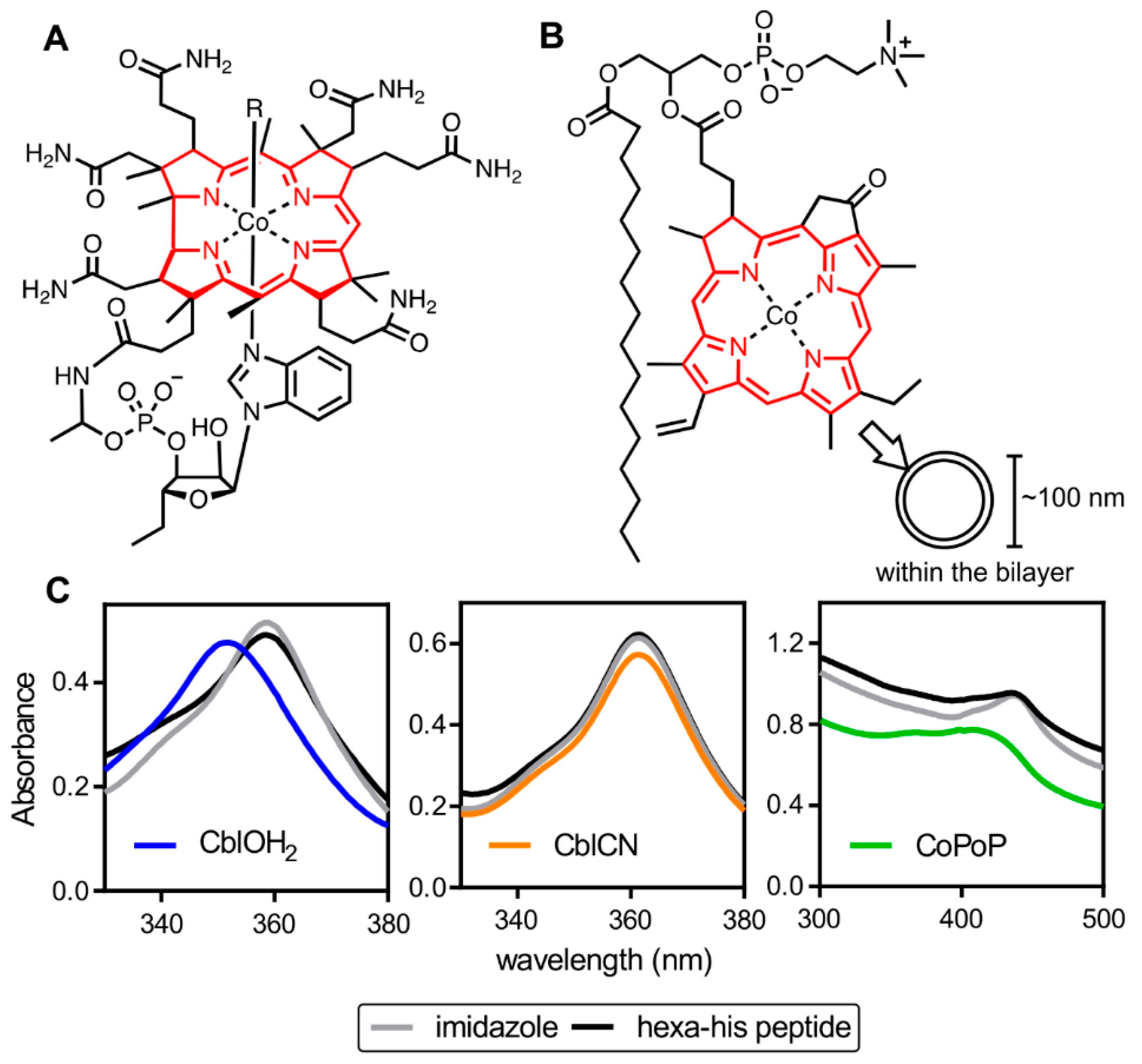 Experimental and Computational Observations of Immunogenic Cobalt Porphyrin Lipid Bilayers: Nanodomain-Enhanced Antigen Association