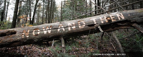 Fallen log in the bush is carved with the words "NOW AND THEN"