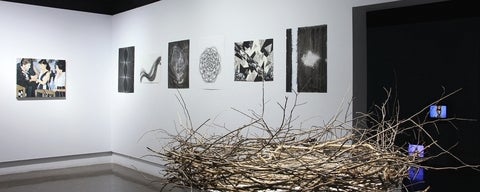 Artwork on gallery walls with a large twig nest in the foreground and a darkened room to the right with videos on two monitors.