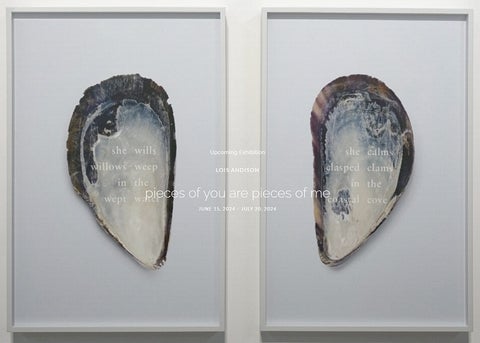 Banner advertising the exhibition "pieces of you are pieces of me", shows text superimposed on two photograph of mussel shells.