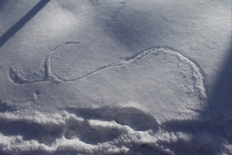View looking down at fluffy snow. There are footprints at the bottom of the image and a swirling, s-shaped, pattern in snow a