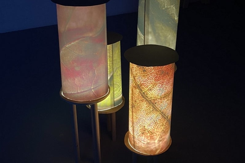 Artwork of four columns of paper, lit from inside, printed with magnified leaf patterns.