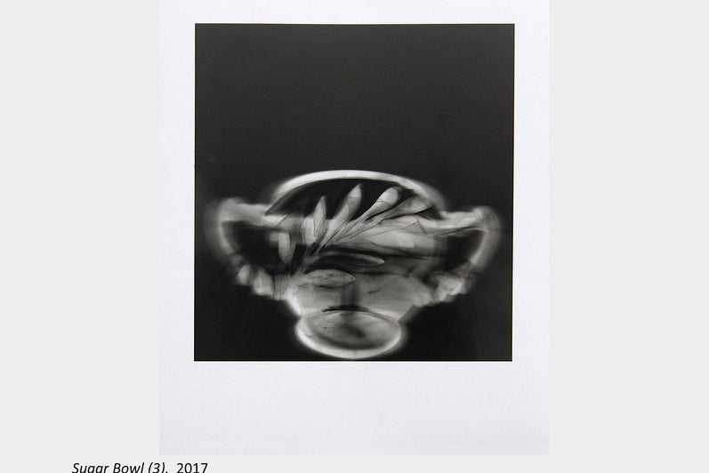 Artwork by Cora Cluett - Sugar Bowl (3), 2017. Silver gelatin prints. 10” x 8”