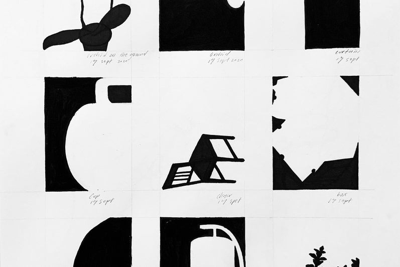 Nine simplified black and white drawings of plants and household objects.