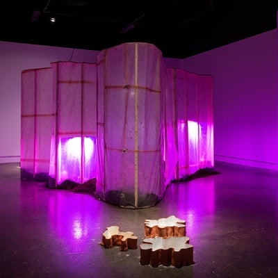 Installation in gallery with magenta lighting. In centre, an irregular shaped room of wood and plastic sheeting, in front 3 clay
