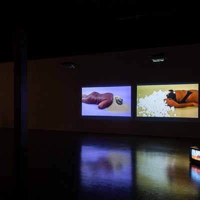 Video exhibition in dark gallery. Small monitors on floor show tropical scenery. Videos on wall show person lying on the floor w