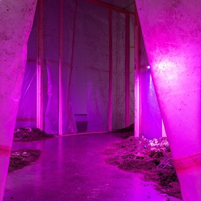 Art installation with magenta lighting.  View into a room made of wood and plastic sheeting containing mounds of earth and debri