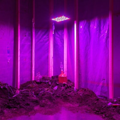 Artwork of a room made of wood and plastic sheeting lit magenta colour containing mounds of earth, glass carboys and debris