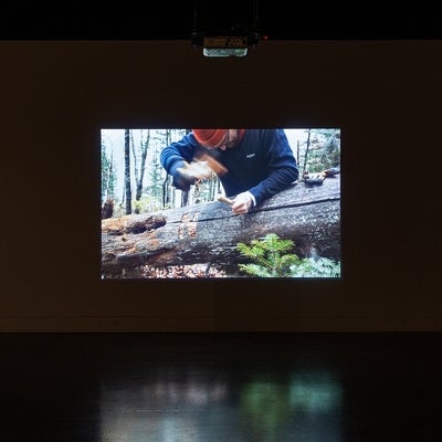 Video exhibition in dark gallery.  Video shows person using hammer and chisel to carve text "NOW" on a fallen tree.