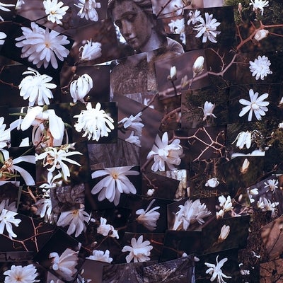 Collage of overlapping photographs of white flowers and a stone figure.
