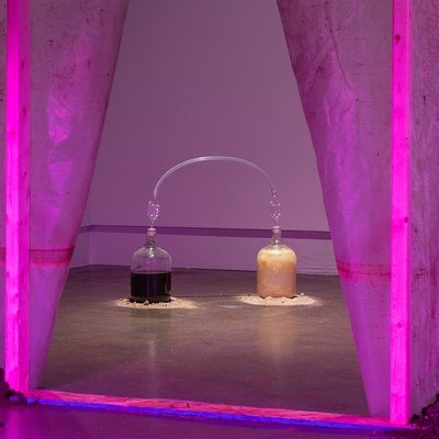 Artwork of two glass carboys linked by air locks and rubber tubing containing fermented material, viewed from a magenta lit spac